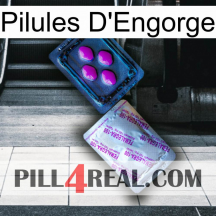 Engorge Pills 37